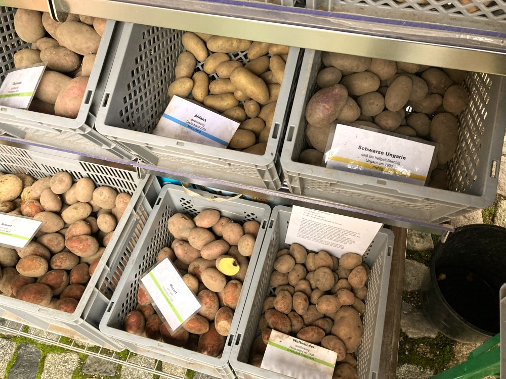 Martinsbasar 2025 Kartoffeln