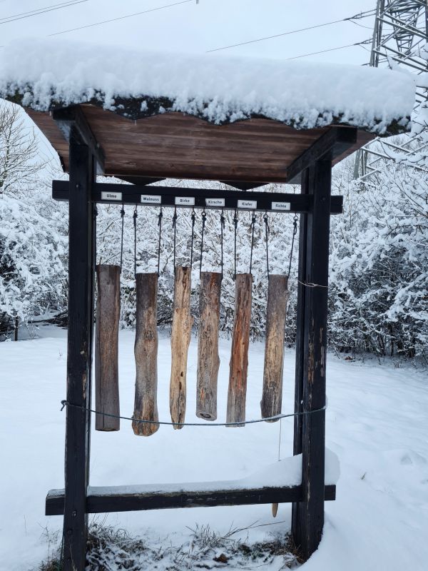 Naturhof Malchow Winter Dendrophon