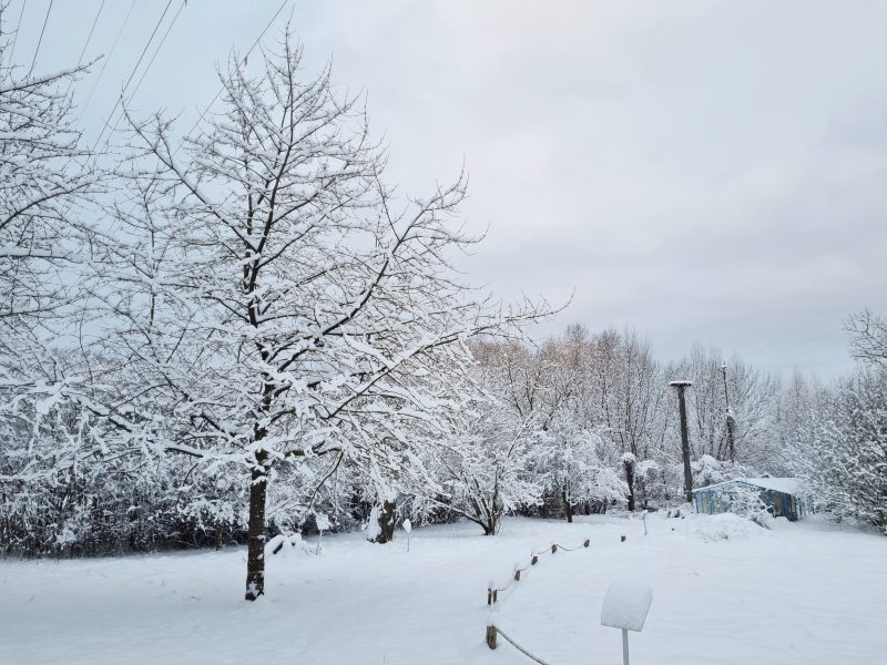 Naturhof Malchow Winter Garten