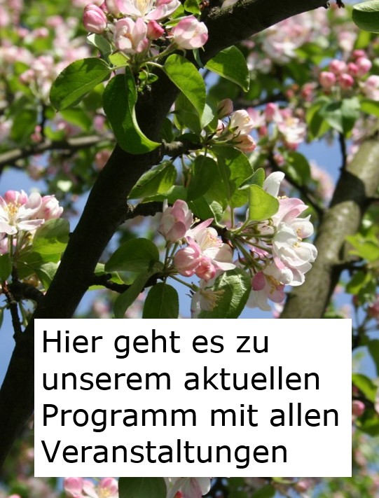 Bild fur Link zu aktuellem Programm