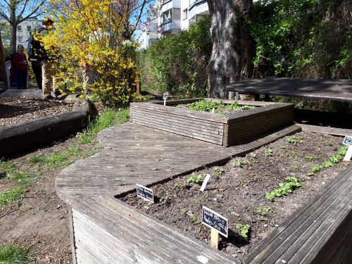 KSGGMH Hochbeet im Nachbarschaftsgarten