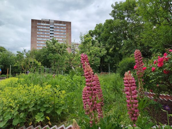 Garten der Begegnung