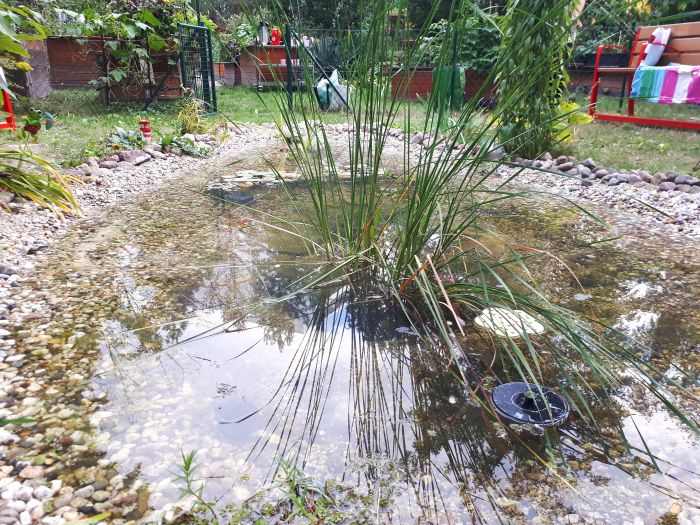 MurInka Garten Teich