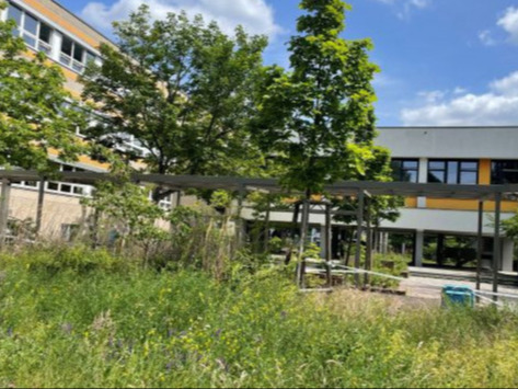 Melanchthon-Gymnasium